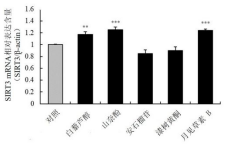 1646107108226889.png 1646107108226889.png